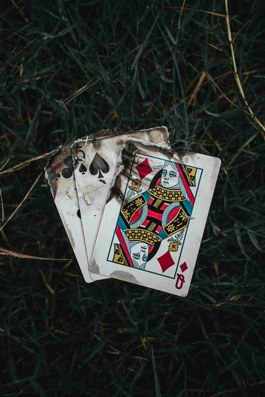 Drip Casino Testbericht 2024: Ist das Online Casino seriös & empfehlenswert?